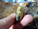 新疆和田玉籽料皮色欣赏