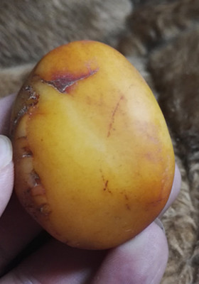 和田玉籽料之金包玉