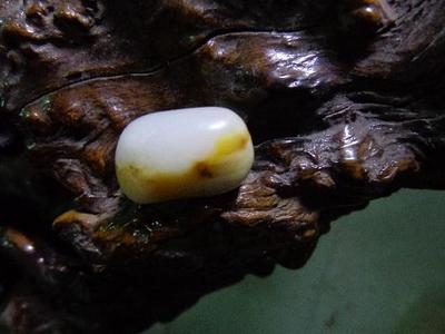 洒金皮皮籽料羊脂白玉—天然戒指面